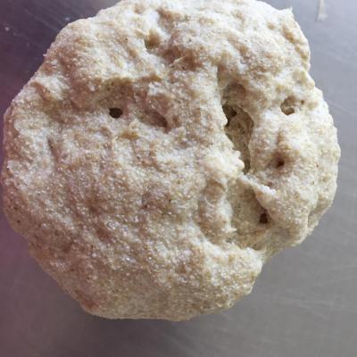 Open Day gratuito per mettere le mani in pasta, degustare e valutare Open Day gratuito per mettere le mani in pasta, degustare e valutare