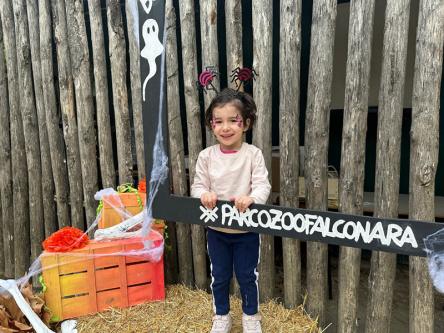 Halloween al Parco Zoo Falconara: tra zucche e animali torna il Tunnel del Contadino Halloween al Parco Zoo Falconara: tra zucche e animali torna il Tunnel del Contadino