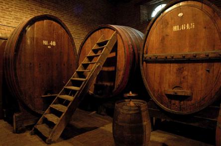 Vino e castagne per la Festa di San Martino Vino e castagne per la Festa di San Martino