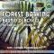 Forest Bathing – Parco del Conero