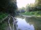 Obiettivo Natura: escursione fotografica al fiume Misa