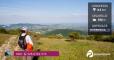 Da Pian dell'Elmo alla vetta del Monte San Vicino