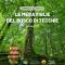 Le meraviglie del Bosco di Tecchie