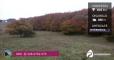 Escursione di Halloween tra il foliage del Sasso Simone