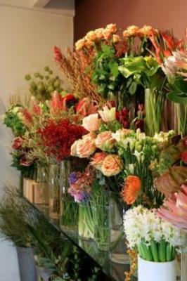 Fasiflor Snc