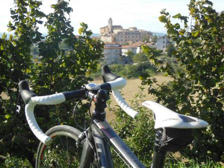 Bike is Life