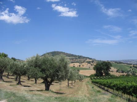 Fattoria Le Origini