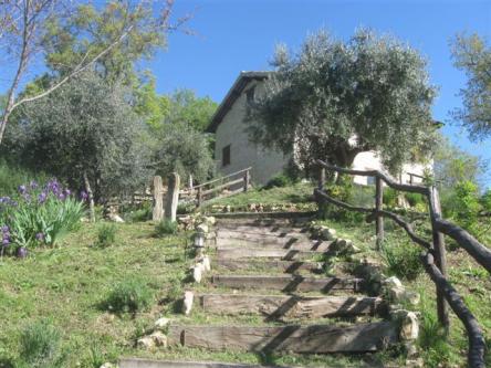 Old House