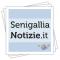 SenigalliaNotizie.it