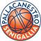 Pallacanestro Senigallia